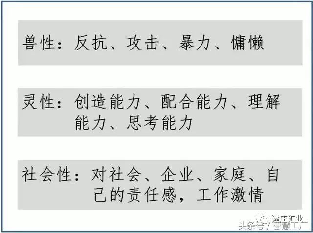 澳门一码一肖一特一中大羸家，全面释义、解释与落实