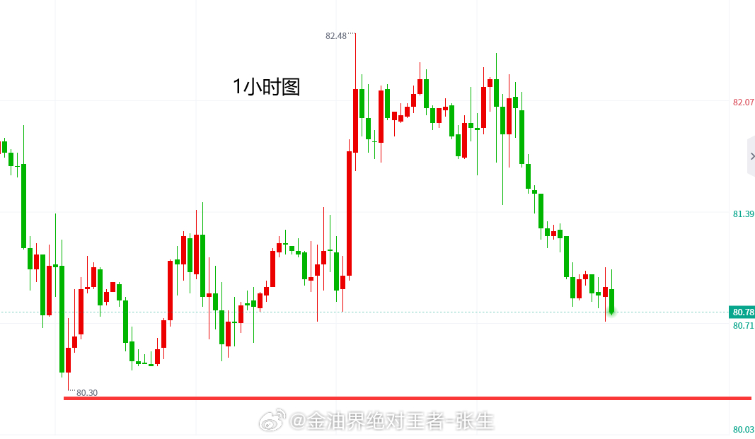 精准解析一肖一码一一子中特l精选，深入解读落实策略