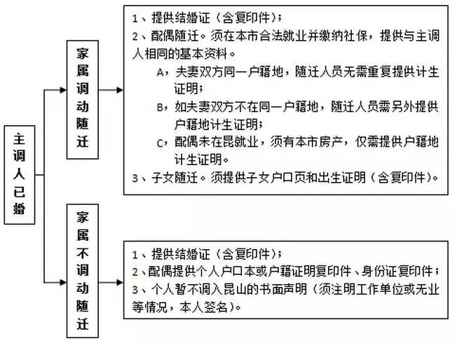 新门内部资料精准大全，准确资料解释与落实详解