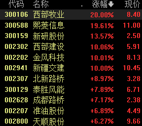 澳门一码一肖一特一中，准确资料的解释与落实