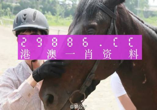 澳门一肖一码一一中厂，全面释义、解释与落实