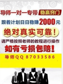 澳门天天彩期期精准平肖精选，解析与落实的探讨